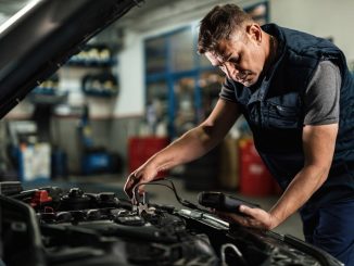 trabajadores empleo